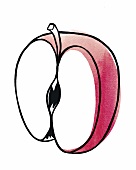 Illustration aufgeschnittener, halbe r roter Apfel