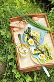 Blattsalat mit gebratenem Spargel und Eiern auf Tablett im Gras