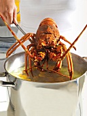 Lobster being cooked in casserole