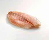 Fisch u. Meeresfrüchte, Filet vom Tilapia