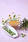Phytotherapy - Rosemary, chamomile flowers and pills on purple background