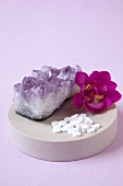 Cell salts with flower and tablets on pink background