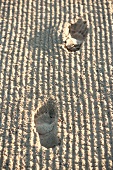 Close-up of footprints in sand