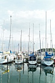 View of Marina sailboats in Gromit, Baltic Sea Coast Baltic Sea Coast, Germany