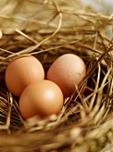Himmel auf Erden, Drei Eier im Nest