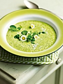 Himmel auf Erden, Kressesuppe mit Gänseblümchen