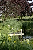 Grass around jetty and near lake with folding chair
