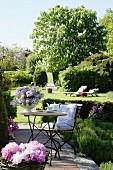 Seating area in garden with summer flowers; flowering horse chestnut tree in background