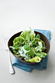 Bowl of salad with sugar snap peas garnish with pistachio and mint