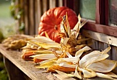Corn on cob and pumpkin on wooden surface