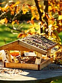 Wooden bird house with seeds in garden kitchen during autumn