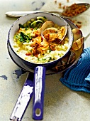 Endivien risotto with clams in pan, garden kitchen