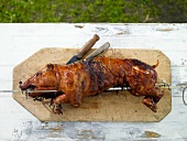 Suckling pig in skewers on chopping board