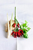 Ginger, coriander leaves and other Asian spices on white cloth