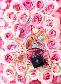 Rosendüfte: Edle Flakons mit verschiedenen Parfüms auf Rosen