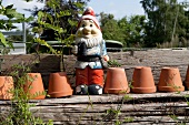 Garden gnome with plant pots in garden