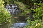 Natural waterfall in Schleswig-Holstein, Germany