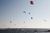 Ostseeküste: Fehmarn, Meer, Kite- surfer