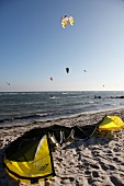 View of people kite surfing in sea, Fehmarn, Schleswig-Holstein, Germany