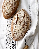 Brot,  Zwei Brotlaibe Hundertprozenter