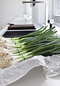 Bunches of spring onions on newspaper in kitchen