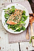 Salmon with a lemon crust on a bed of salad