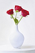 Close-up of three red roses in white vase