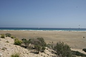 Strand Playa Barca Fuerteventura Spanien