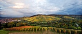 View of winery at Kernen-Stetten, Weingut Beurer, Rems