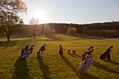 Golf bags with club in western woods, Swabia, Augsburg, Bavaria, Germany