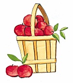 Illustration, rote Äpfel im Korb 