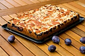 Kuchen, Zwetschgen-Blechkuchen