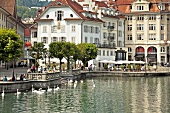 View of tourits on promenade and swans in Reuss river in Lucerne, Switzerland