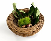 Basket of marone and chestnut on white background, overhead view