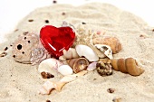 Different sea shells with red heart on sand