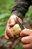Pilze, Steinpilz wird mit dem Messer gereinigt, Step 2