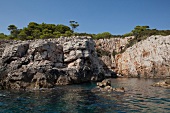 Dubrovnik coast of Lokrum island in Croatia