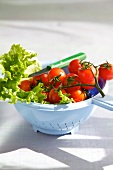 Fresh cherry tomatoes and lettuce in colander