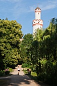 Rear view of women jogging in Castle Park in front of White Tower, Bad Homburg, Germany
