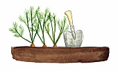 Illustration, Pflanzen und Spaten X 