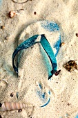 Close-up of flip flops in the sand