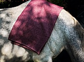 Close-up of fabric on horseback
