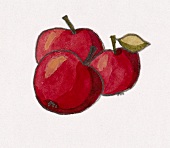 Illustration, Drei rote Äpfel X 