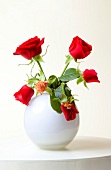 Close-up of red roses in white vase