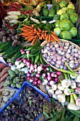 Different types of garlic in basket