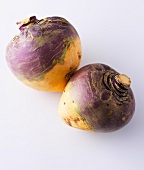 Two turnips on white background