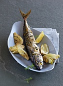 Grilled fennel mackerel in serving dish