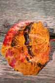 Herbstblatt, rot - gelb 
