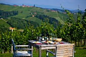 Laid table overlooking Gamlitz, Southern Styria, Austria