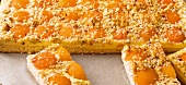 Hefeteig, Aprikosen-Quark- kuchen mit Nuss-Streuseln